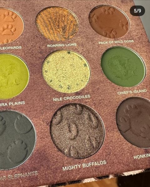 
                        

                        Nomad cosmetics Okavango Safari Palette

                    