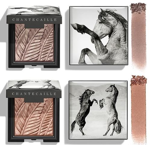 
                        

                        Chantecaille Fall 2023 Wild Mustang Collection

                    