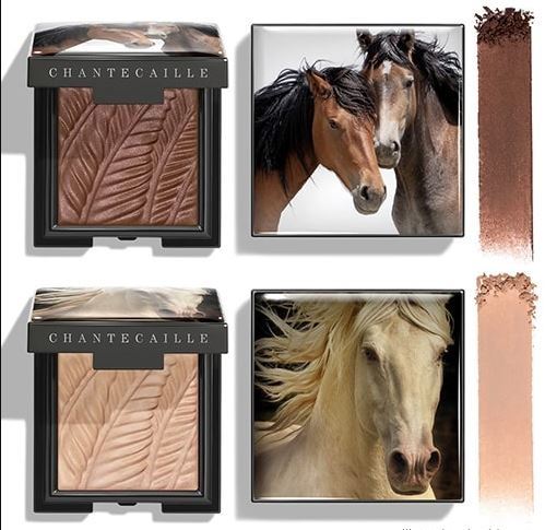 
                        

                        Chantecaille Fall 2023 Wild Mustang Collection

                    